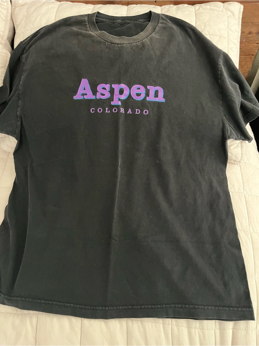 Aspen Colorado Brandy Melville tee shirt